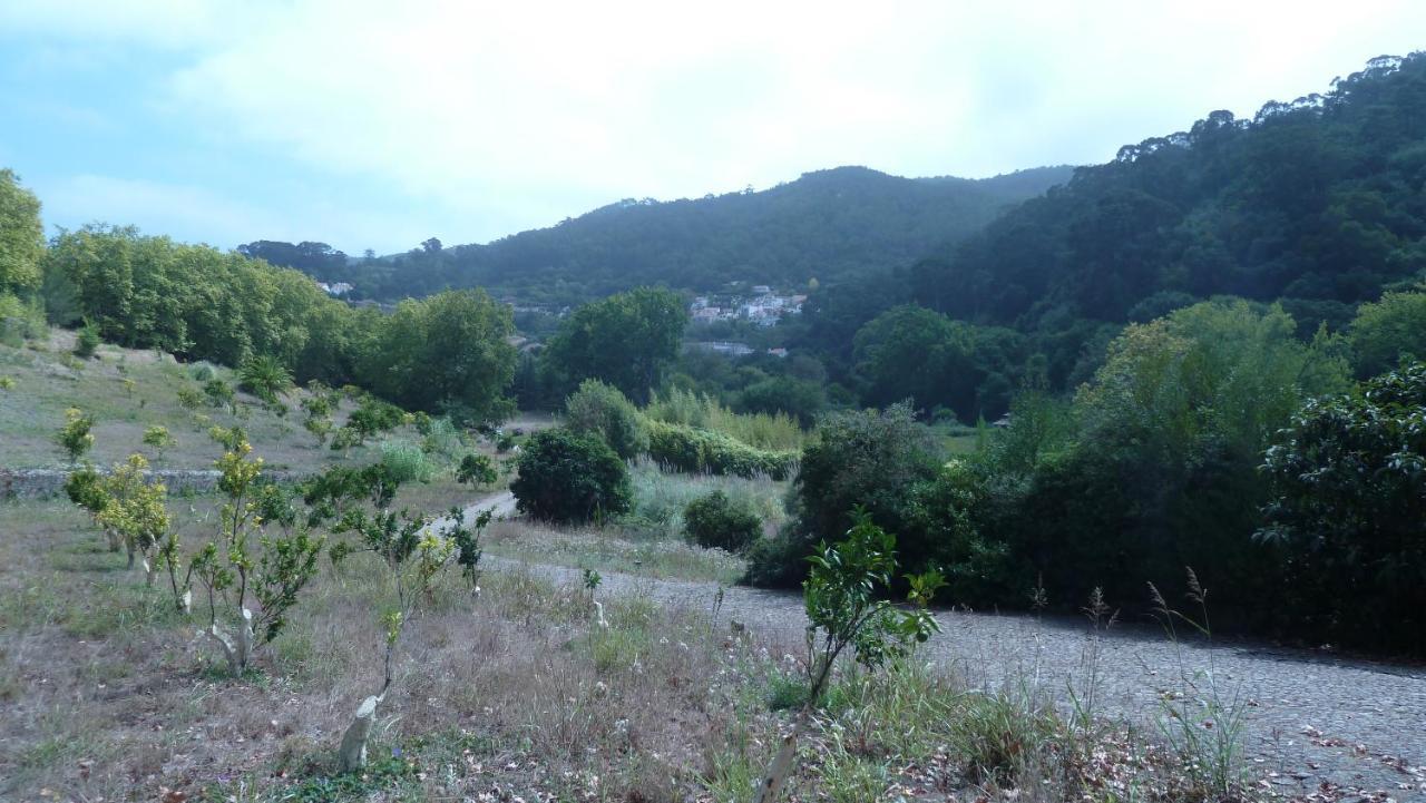 シントラRibeira Dos Marinheiros Azulアパートメント エクステリア 写真