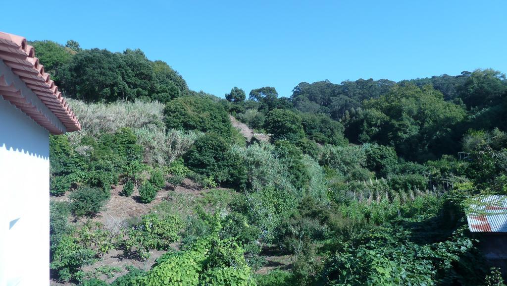 シントラRibeira Dos Marinheiros Azulアパートメント エクステリア 写真