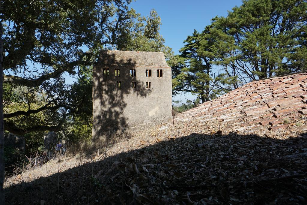 シントラRibeira Dos Marinheiros Azulアパートメント エクステリア 写真